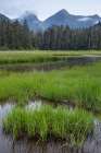 Alaska-Sitka Meadow at high tide in Tongass National Forest Art Print